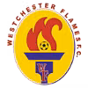 Logo của Westchester Flames