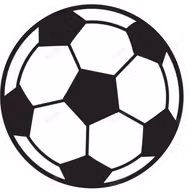 Logo của NJS Nur Miers dimension U20