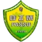 Logo của DZM Passo U20