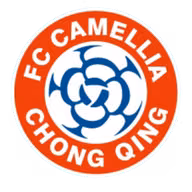 Logo của Chongqing Dikai