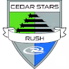 Logo của Cedar star