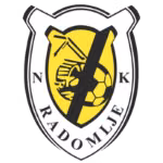Logo của NK Radomlje U19