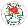 Logo của Adamstown Rosebud Reserves
