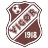 Logo của Vigor U19