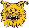Logo của Ilves Tampere (nữ)