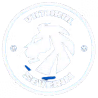 Logo của ACS Viitorul Severin