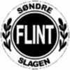 Logo của Flint 2 U19