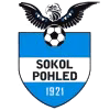 Logo của TJ Sokol Pohled