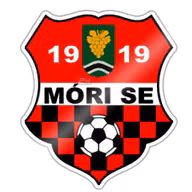 Logo của Mori SE