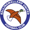 Logo của Ballinamallard United