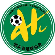 Logo của Hubei U20