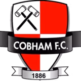 Logo của Cobham