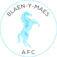 Logo của Blaen Y Maes