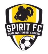 Logo của NWS Spirit (nữ)