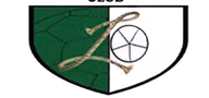 Logo của Ladthadlaboh SC