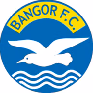 Logo của Bangor (nữ)