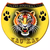 Logo của Mighty Tigers