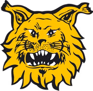 Logo của Ilves Tampere
