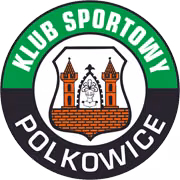 Logo của Gornik Polkowice