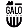 Logo của Galo Maringa