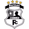 Logo của Zamora II
