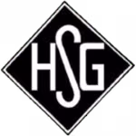 Logo của Holzheimer SG