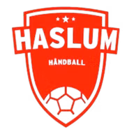 Logo của Haslum U19