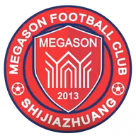 Logo của Shijiazhuang Megason