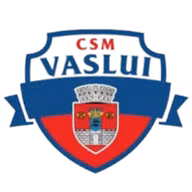 Logo của Vaslui