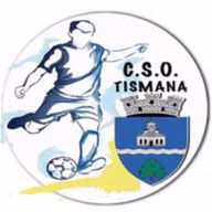 Logo của CSO Tismana
