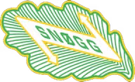 Logo của Snogg/Notodden U19