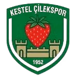 Logo của Kestel Cilekspor U19