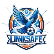Logo của Ji'nan Linksafe