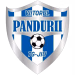 Logo của Pandurii