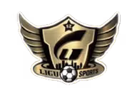 Logo của Shenzhen Heritage All-Star FC