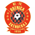 Logo của KF Drenica Skenderaj U21