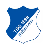 Logo của Hoffenheim U19