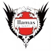 Logo của Llamas Kochi FC
