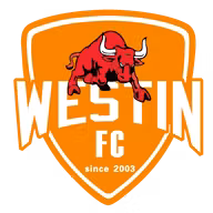 Logo của Foshan Sports (nữ)