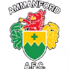 Logo của Ammanford
