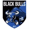 Logo của Black Bulls