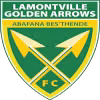 Logo của Golden Arrows Reserves