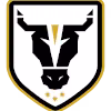 Logo của Bulls Academy