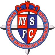 Logo của Nyiregyhaza B