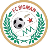 Logo của Bigman FC