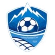 Logo của Ledong Team