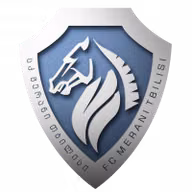 Logo của FC Norchi Dinamoeli Tbilisi