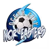 Logo của Ocean City Noreasters