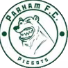 Logo của Parham FC