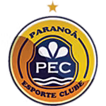 Logo của Paranoa Youth